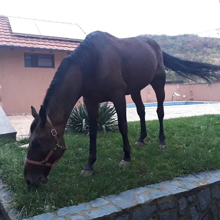 Seosko Turisticko Domacinstvo Jagor * Despotovac