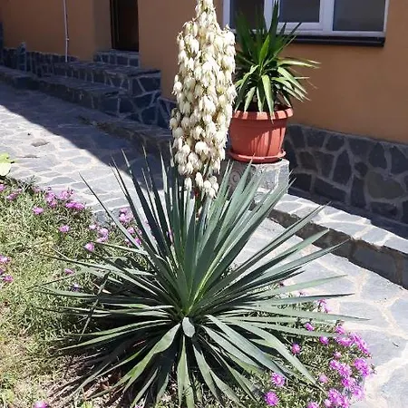 Апартаменты Seosko Turisticko Domacinstvo Jagor Деспотовац