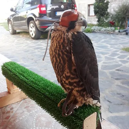 Seosko Turisticko Domacinstvo Jagor Apartament *