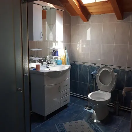 Seosko Turisticko Domacinstvo Jagor Apartament Despotovac