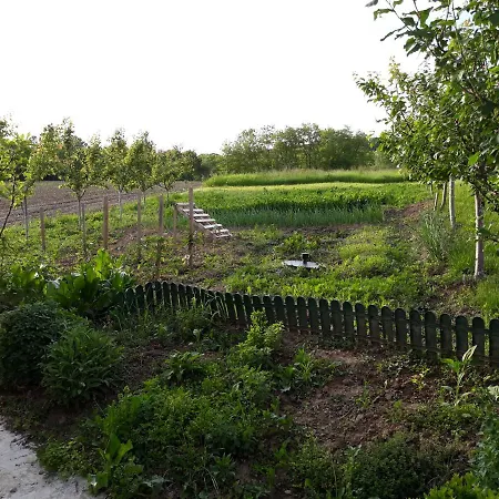 Апартаменты Seosko Turisticko Domacinstvo Jagor Деспотовац